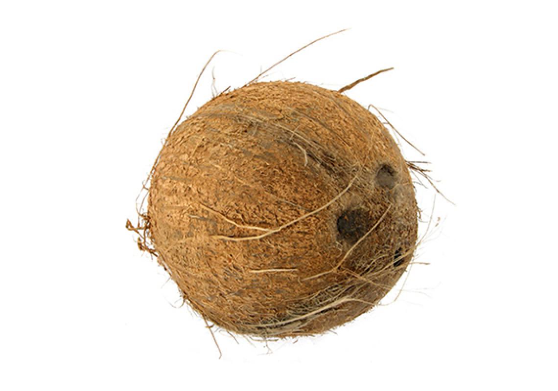 Coconut Pomona Export Coconut Pomona Export